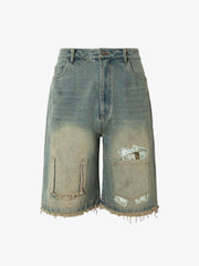 Gradient Washed Raw Edge Jorts